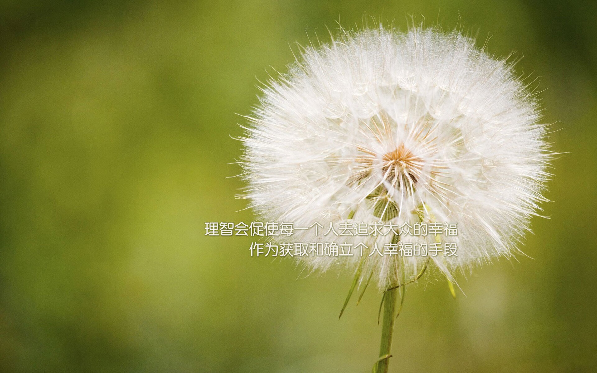 发动机外面部件生锈怎么处理（发动机内部生锈了有影响吗）