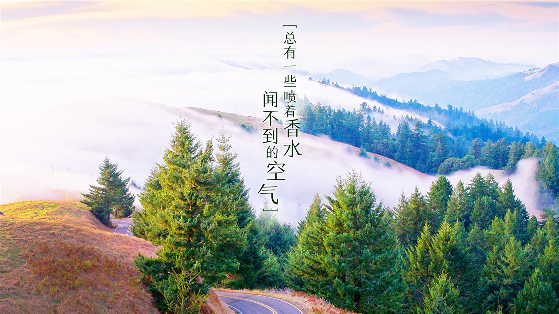 二手汽车配件交易平台app排行（二手汽车配件交易平台app排行榜）
