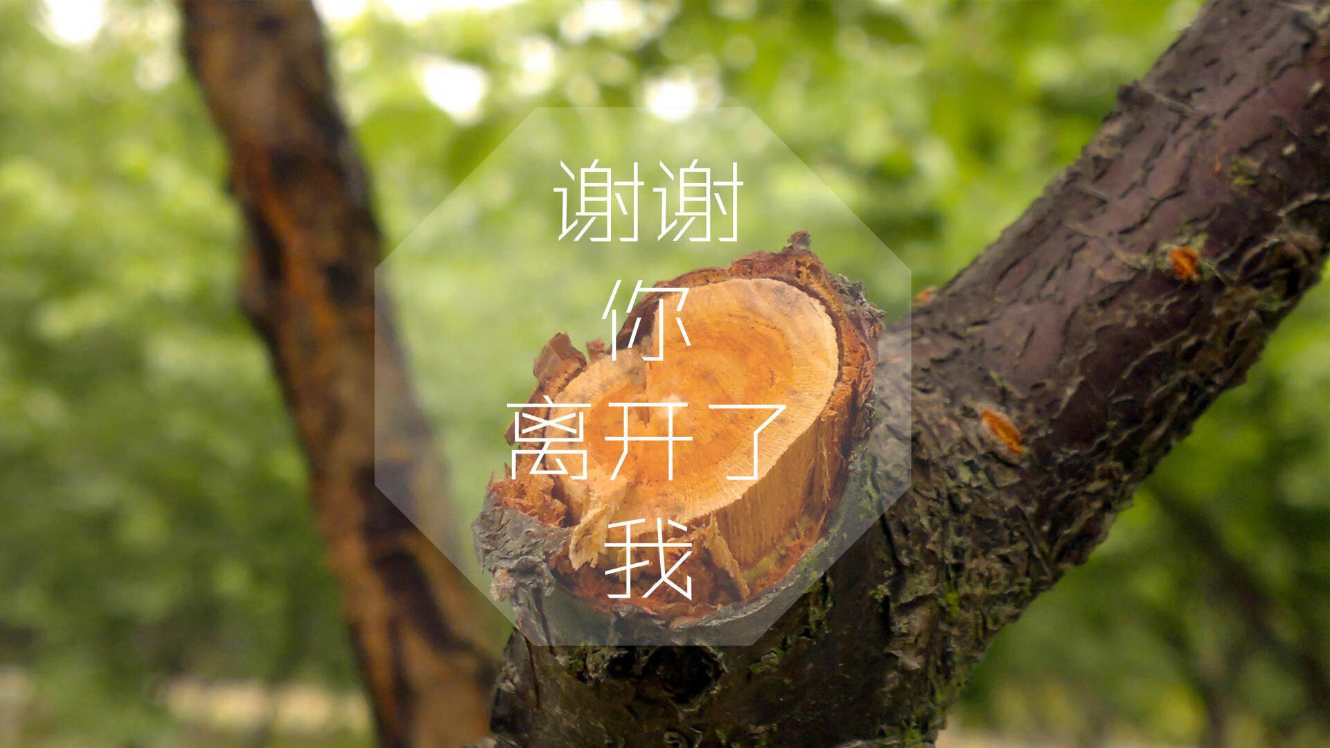 汽车配件是怎样进行编号的（汽车配件编码的含义）